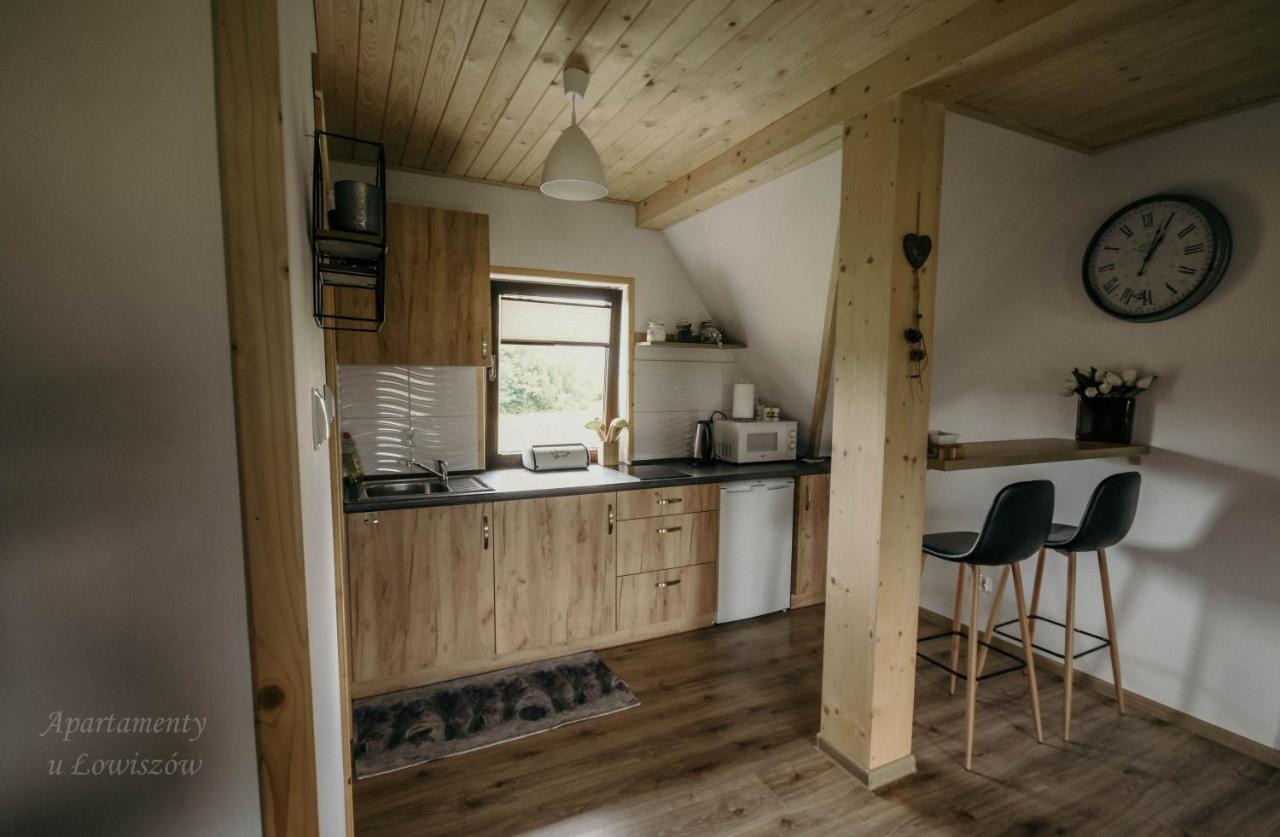 Apartament U Lowiszow Witów 外观 照片